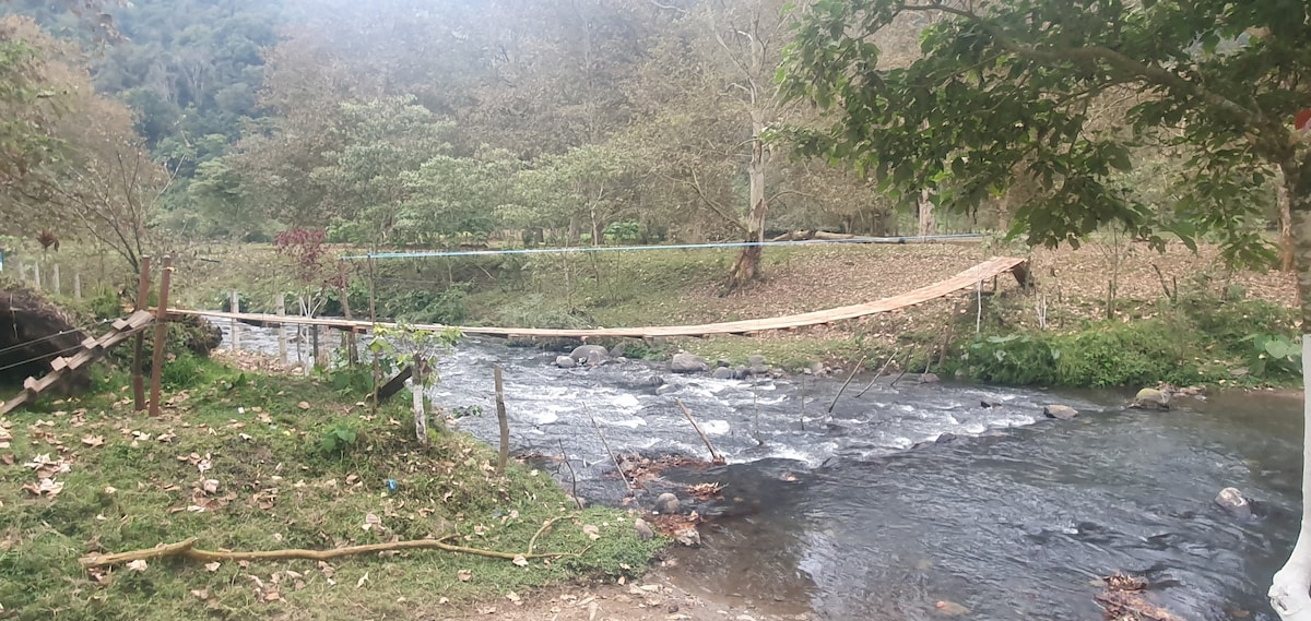 A simple wooden bridge extends across a flowing river, surrounded by greenery and trees. The landscape displays a calm natural setting, with leaves scattered across the ground and the gentle movement of water beneath the bridge.