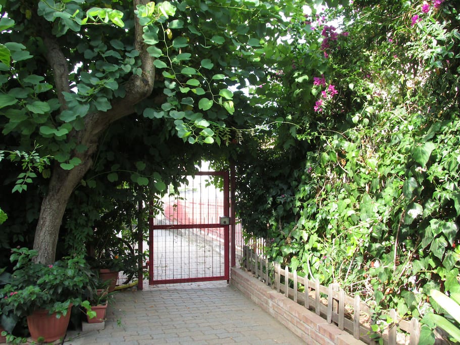 Giardino, entrata