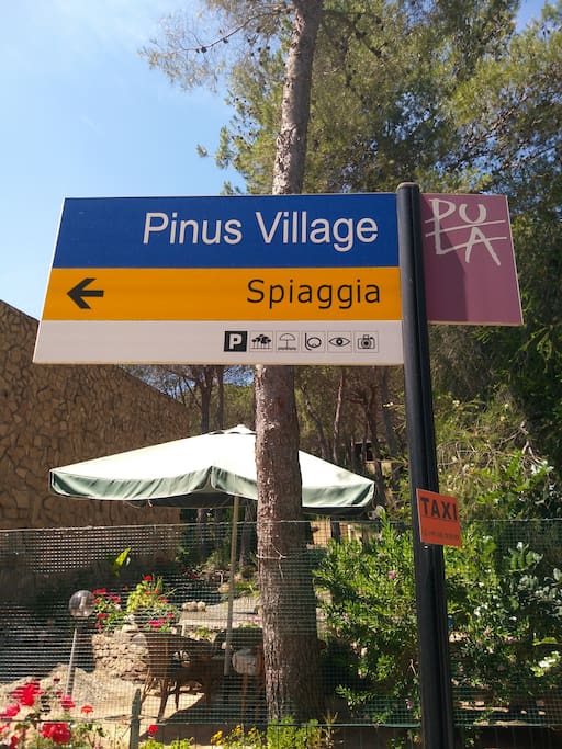 Pinus Village