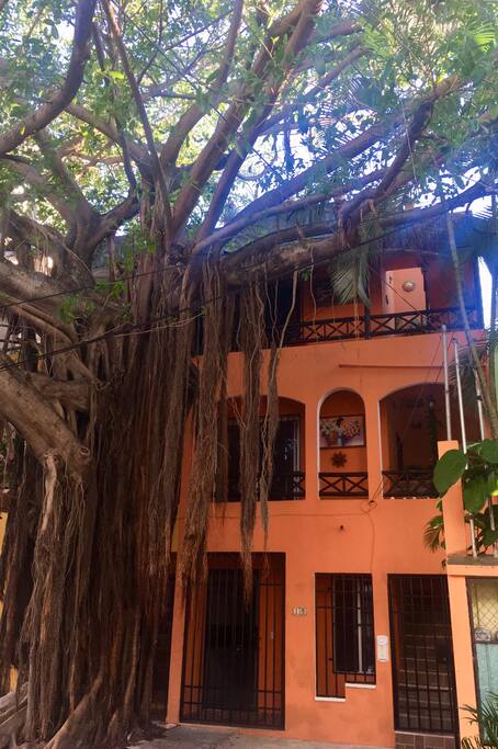 Welcome to Casa Naranja