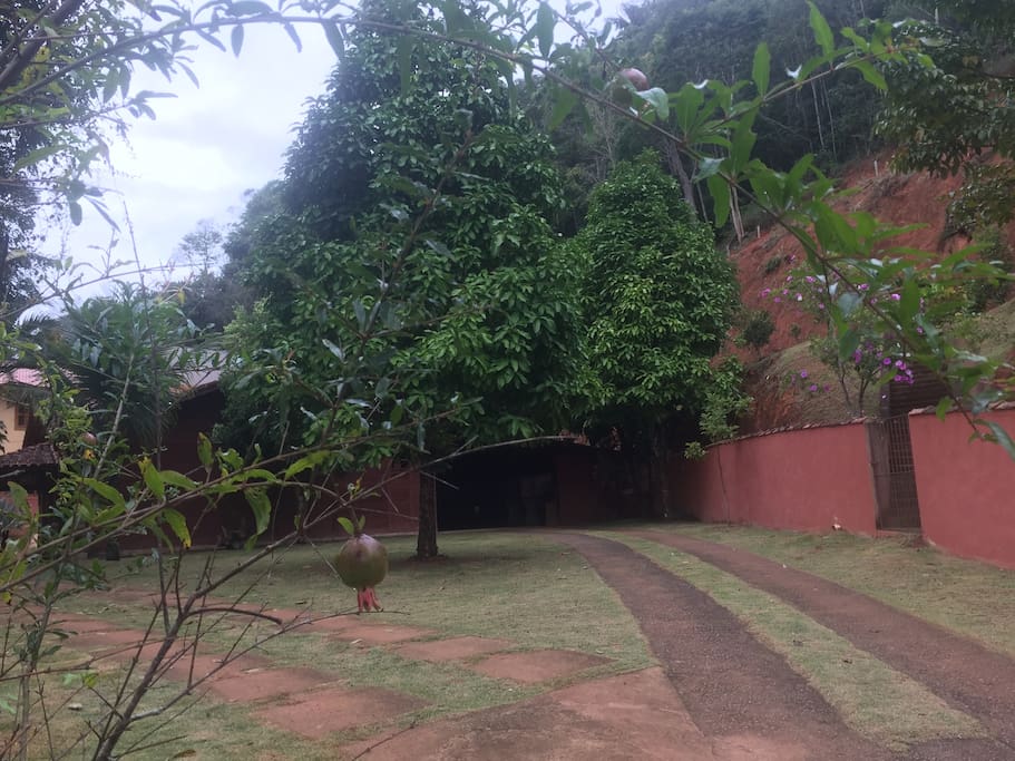 Área externa - quintal