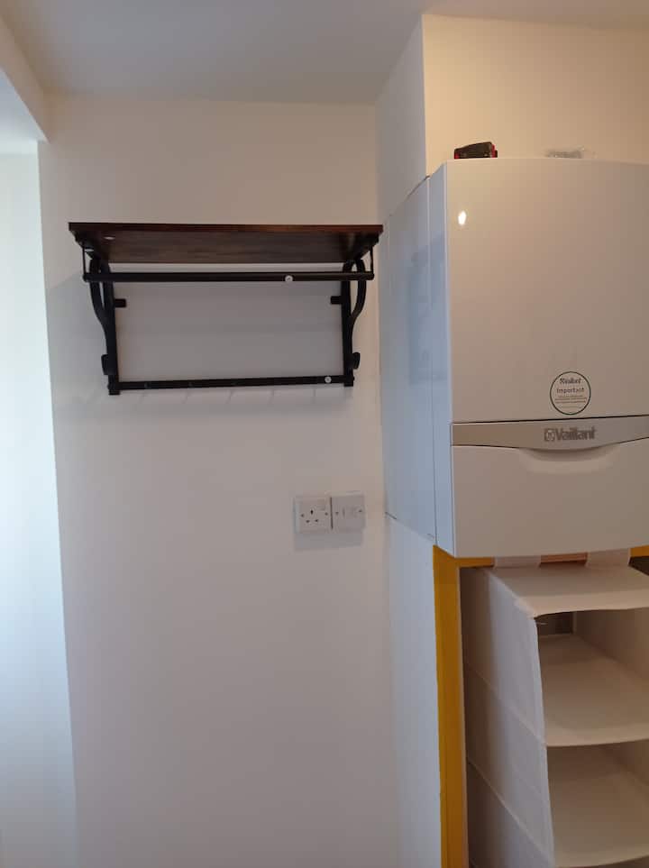 Cama individual + baño privado (ducha, inodoro y lavabo)