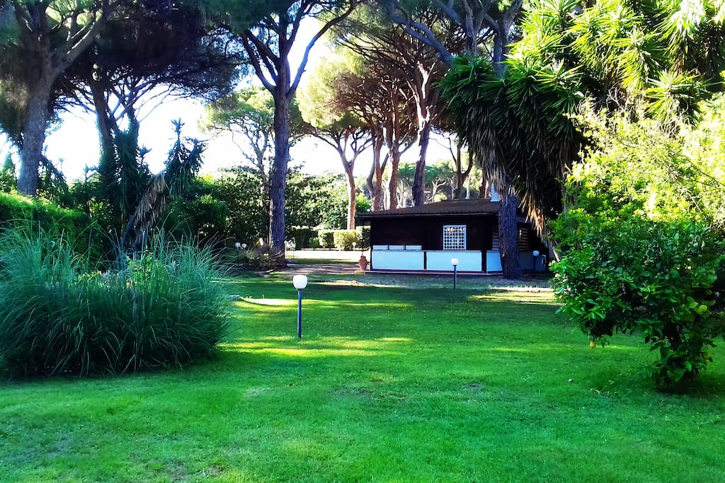 The marvellous Ceri Segret Garden, only 20 minutes from Rome