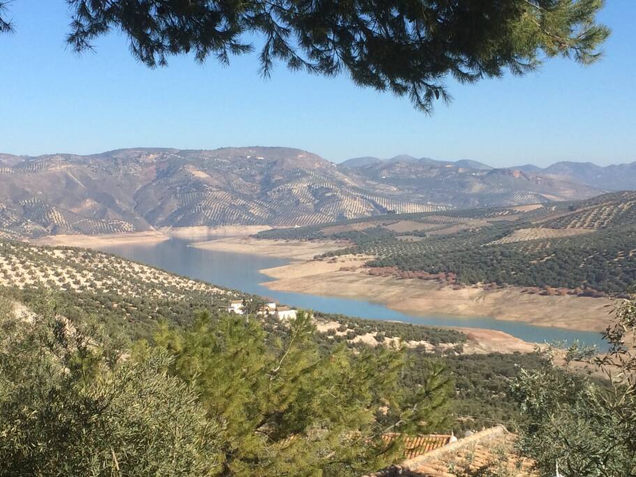 View from the garden and terraces