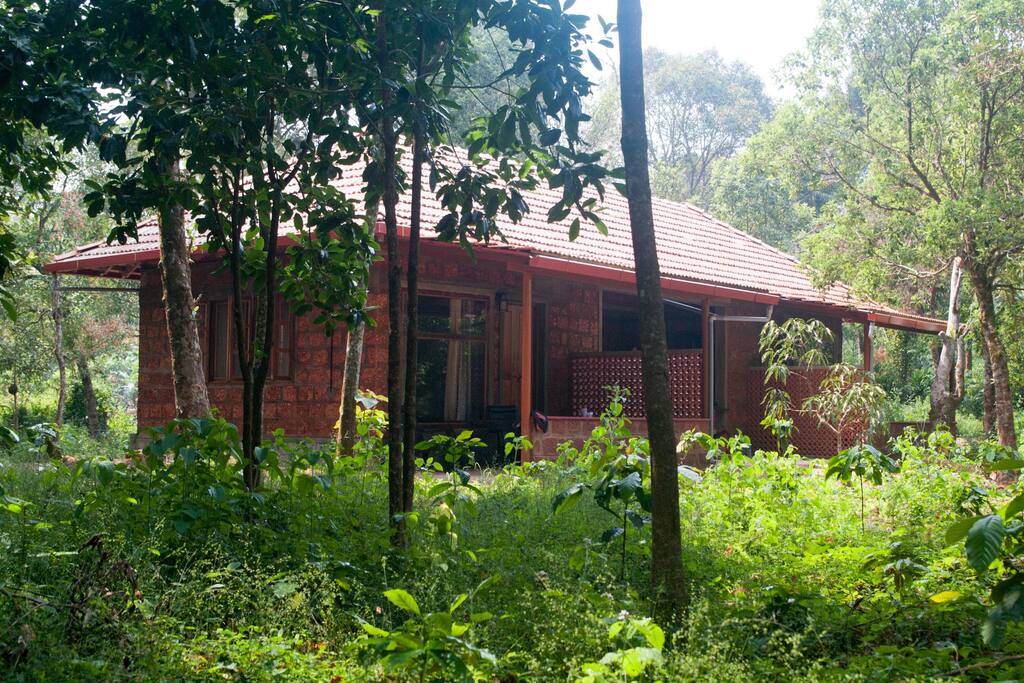 The cottage