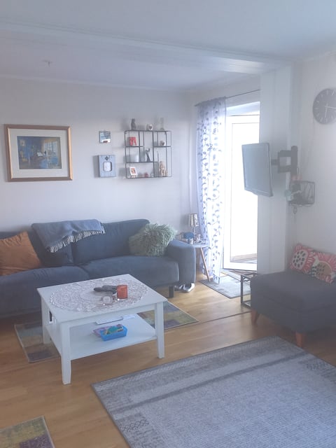 Apartment/appartment 15 min from Oslo airport