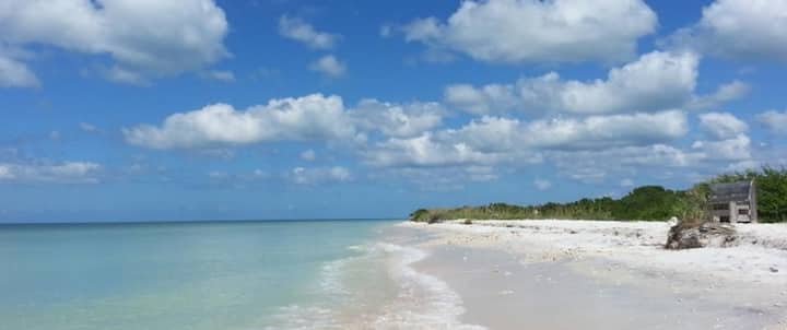 Cozy Getawaylake View+beautiful Beaches Nearby - Dunedin, FL