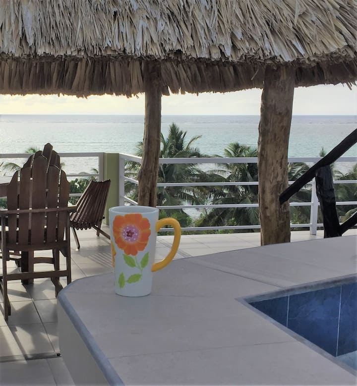Top 10 LongTerm Rentals In Ambergris Caye, Belize Updated 2024 Trip101