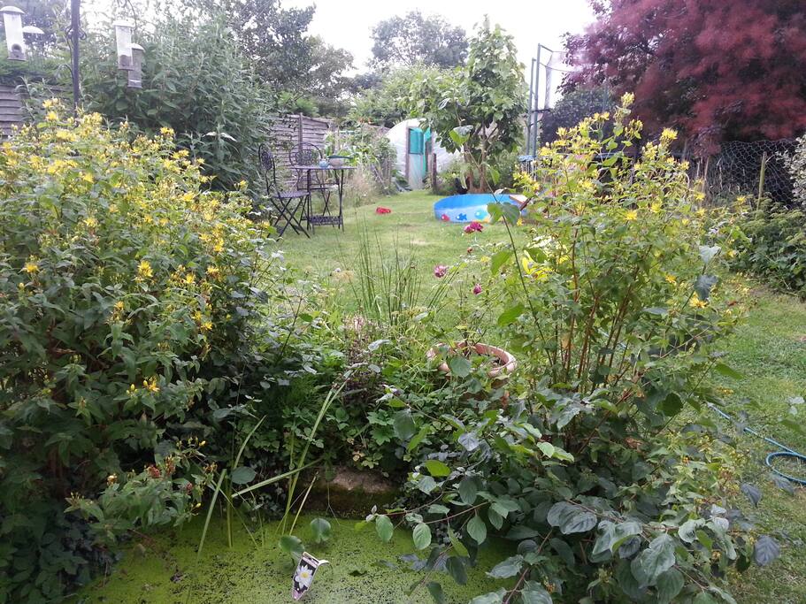 The Garden in summer