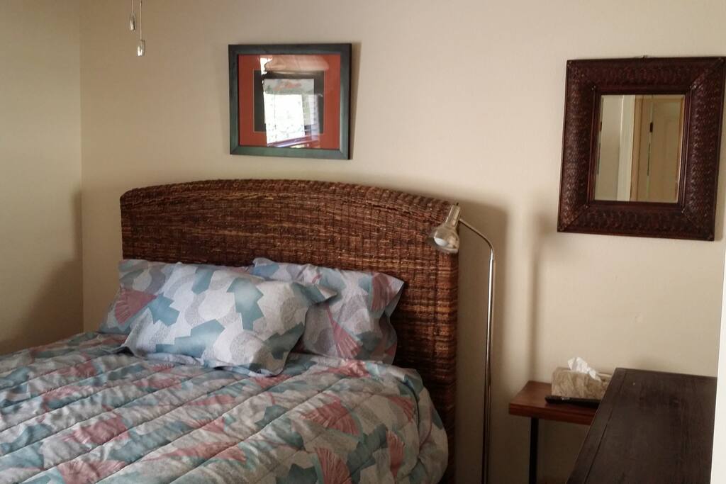 Downstairs Bedroom #1