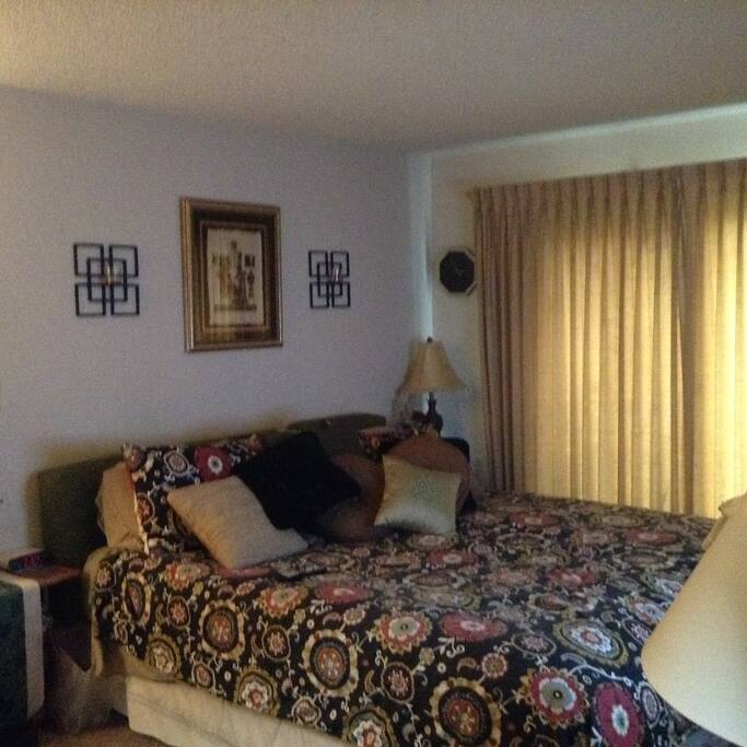 King sizes bed with patio door to back yard, and private master bath