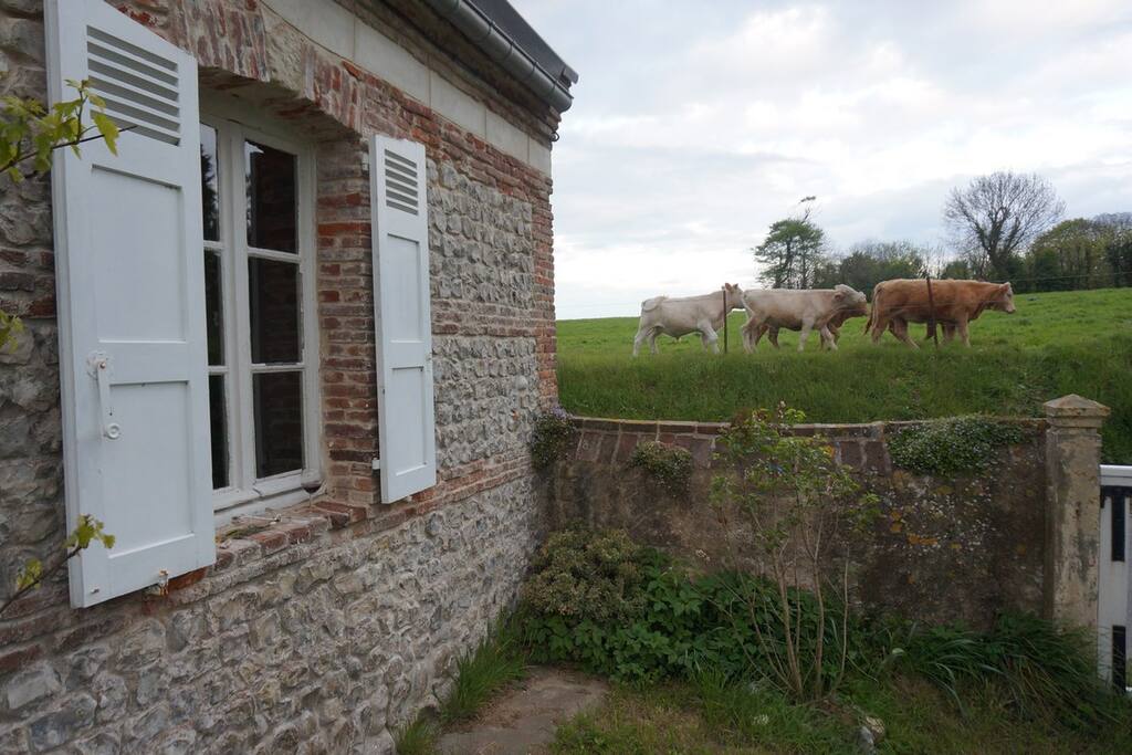 Le pré du voisin