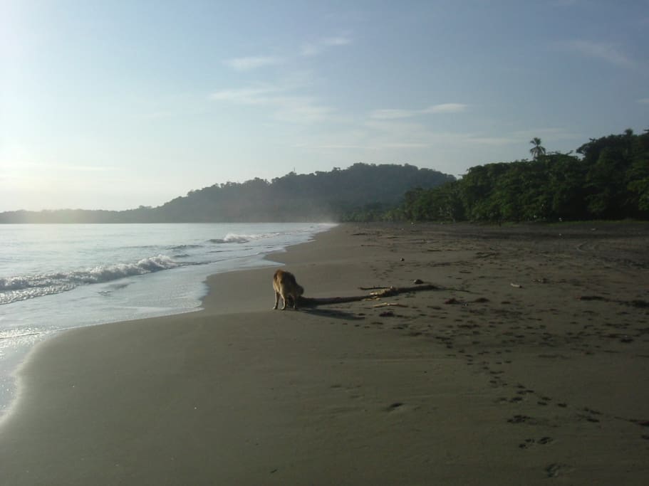 Beach in front our property