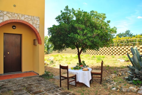 Casa Agave: Relax, e-bike, spa, nature in Maremma!
