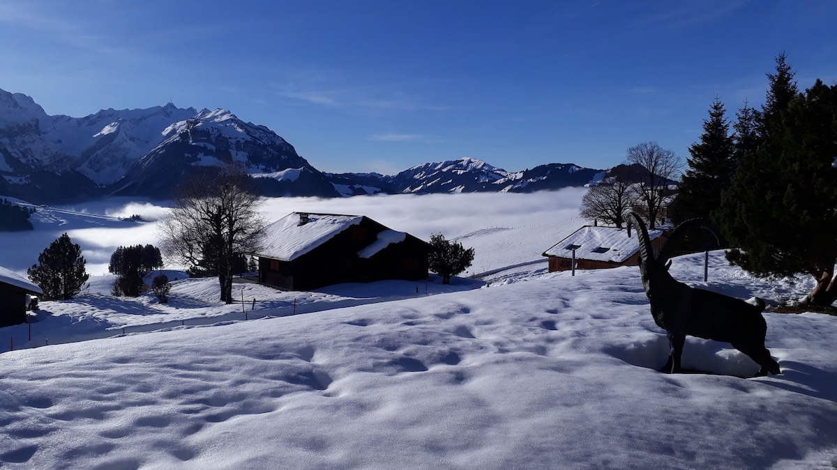 A scenic winter landscape is displayed, featuring a blanket of snow covering the ground. Traditional wooden houses are visible in the background, with snow-capped mountains rising majestically under a clear blue sky. A black goat statue is positioned in the foreground.