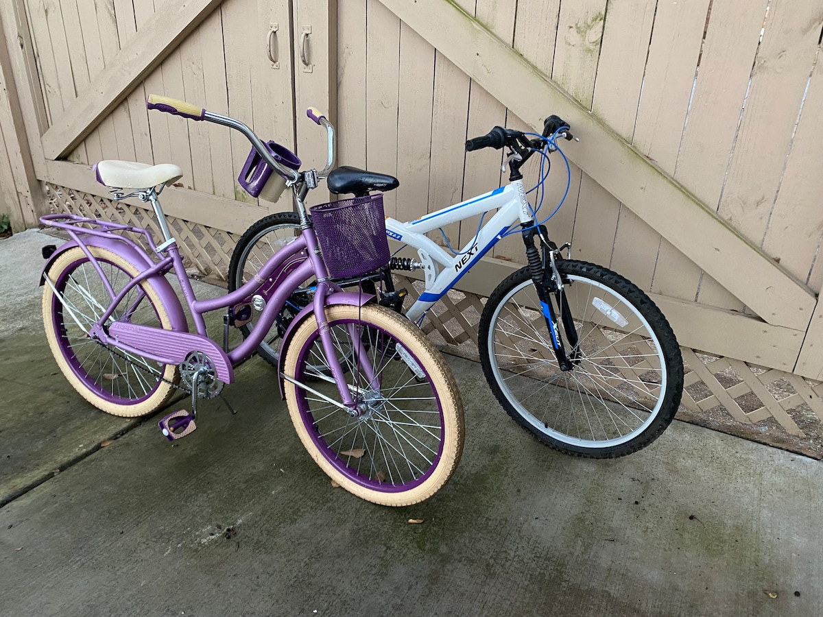 Two bicycles are positioned against a wooden fence. The first bicycle features a purple frame, a basket, and vintage-style design elements. The second bicycle has a more modern design with a light blue frame and black tires. A concrete surface is visible beneath them.