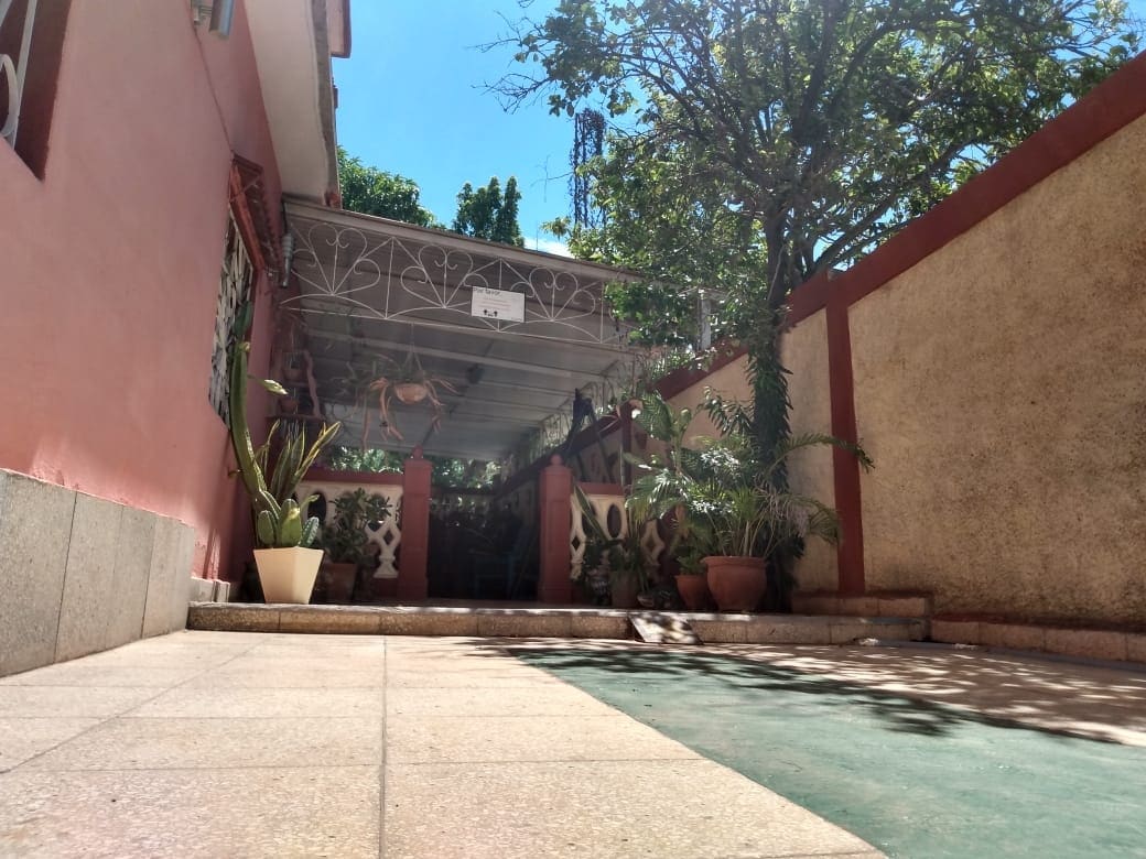 A shaded outdoor area is visible, featuring a covered patio surrounded by greenery and decorative plants. Sunlight filters through the leaves of a nearby tree, and the space is framed by textured walls in soft tones, providing a serene environment.