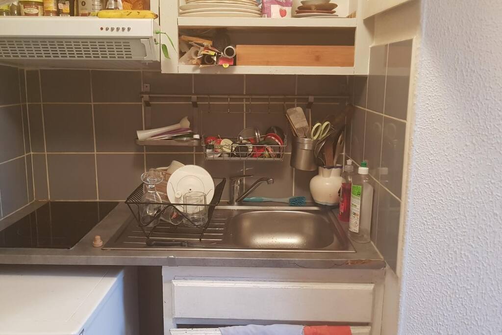 cuisine avec plaque à induction + mini lave-vaisselle