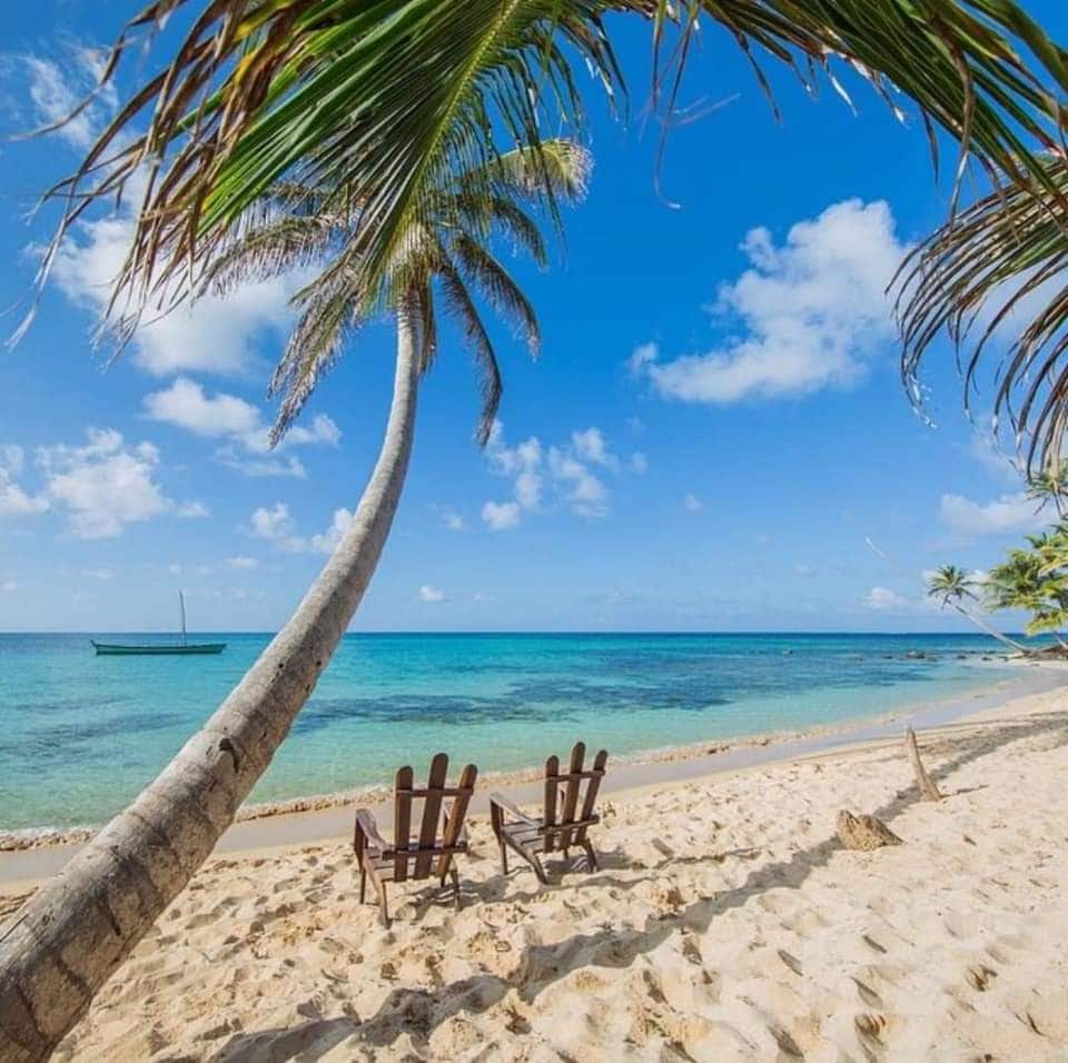 Two wooden chairs are positioned on a sandy beach, framed by a leaning palm tree. The clear blue water gently laps at the shore, and a distant boat is seen on the horizon under a bright sky with scattered clouds.