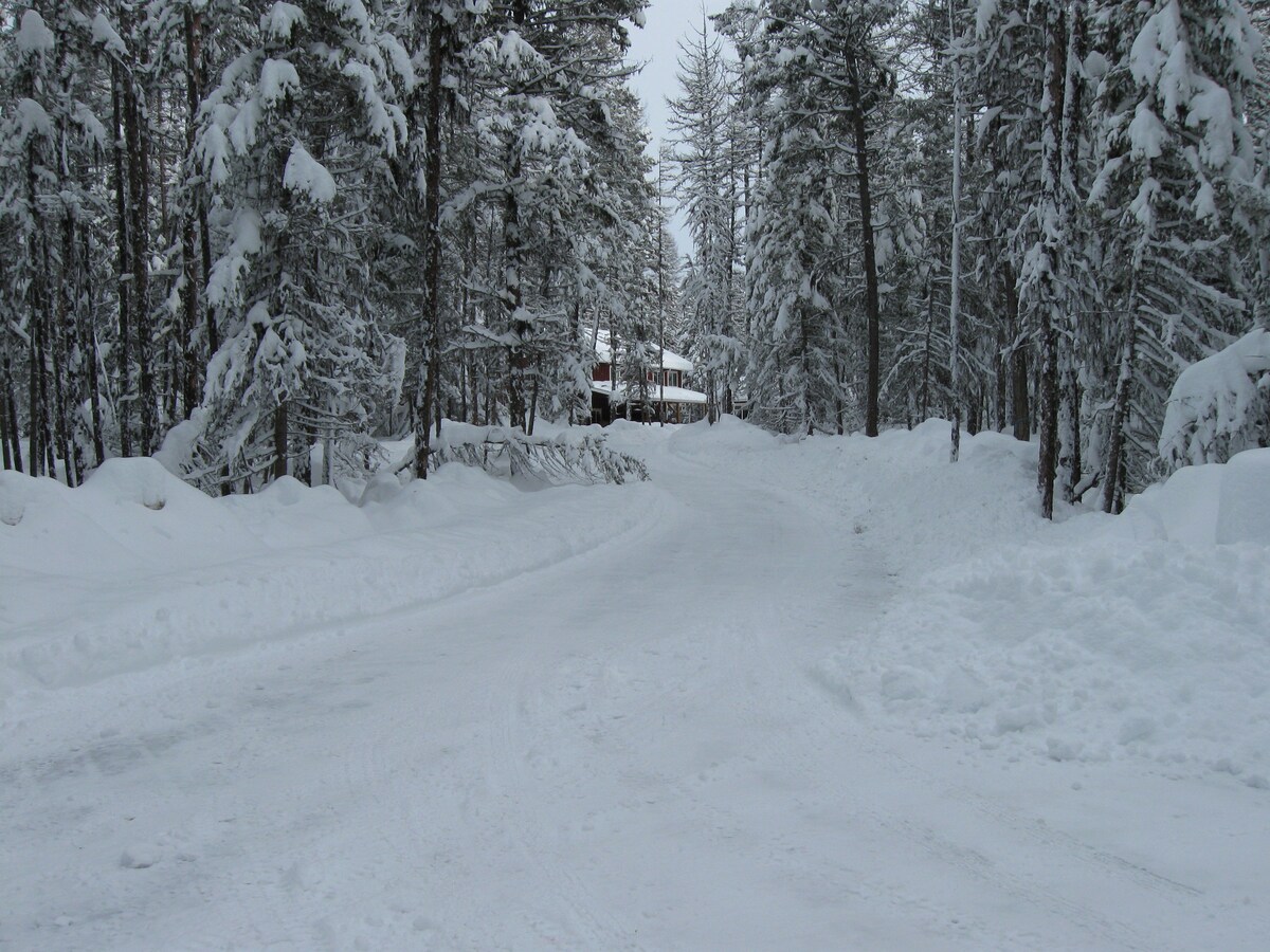 A snow-covered road winds through a forest of tall, white-coated trees. The pathway is flanked by snowbanks, leading towards a structure partially obscured by the trees in the distance.