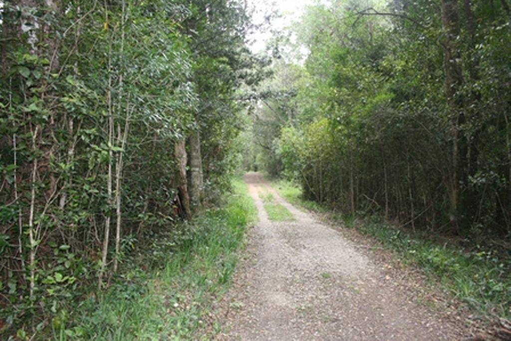 One of the hiking trials in the area
