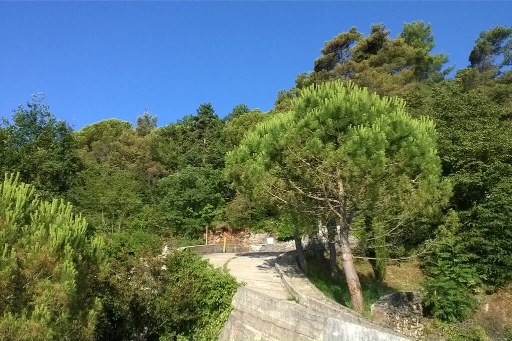 Access Road