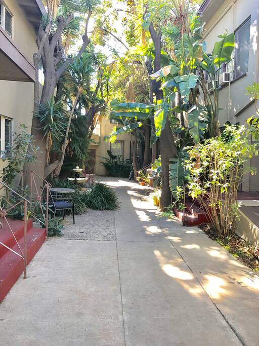 View of the courtyard.