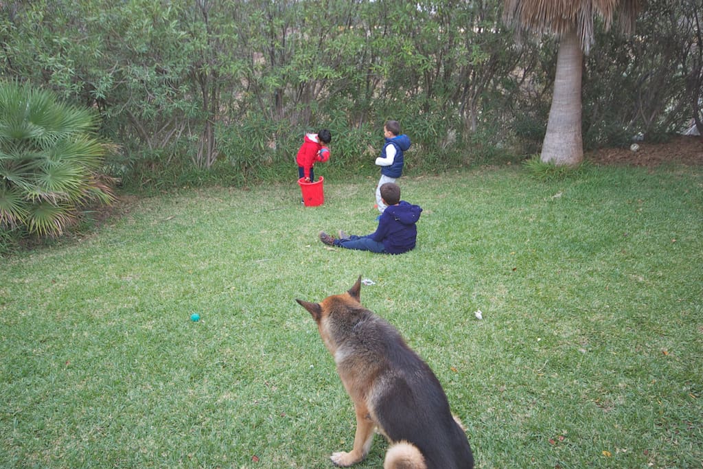 Children playing on lawn