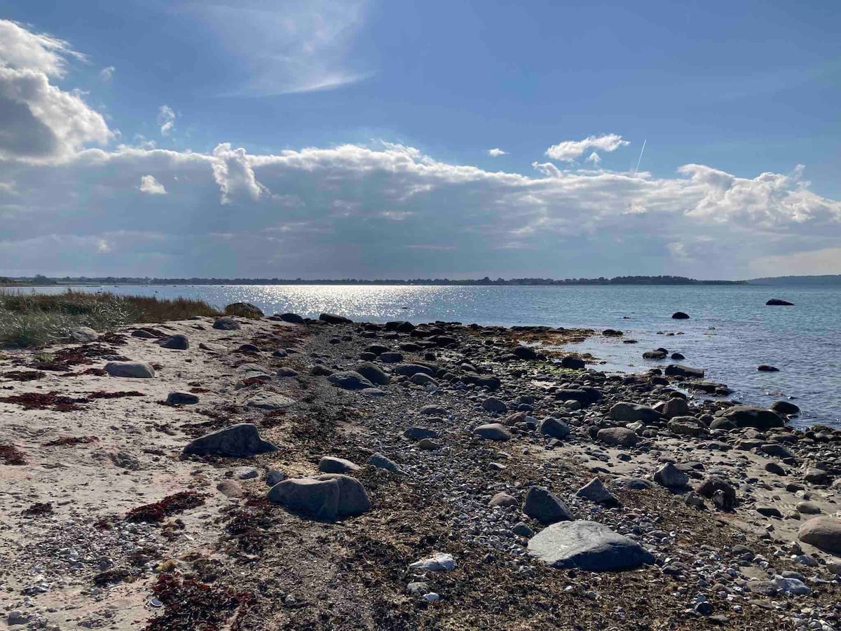 A serene beach scene features a sandy shoreline dotted with smooth stones. The gentle waves reflect sunlight, with distant land visible on the horizon. A scattering of seaweed adds texture to the sand, while soft clouds drift above in a bright sky.