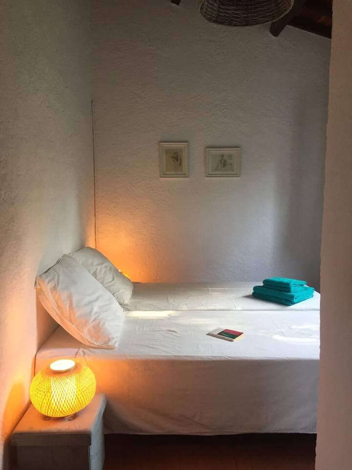 Garden view high room