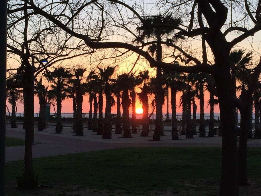 beautiful sunset view