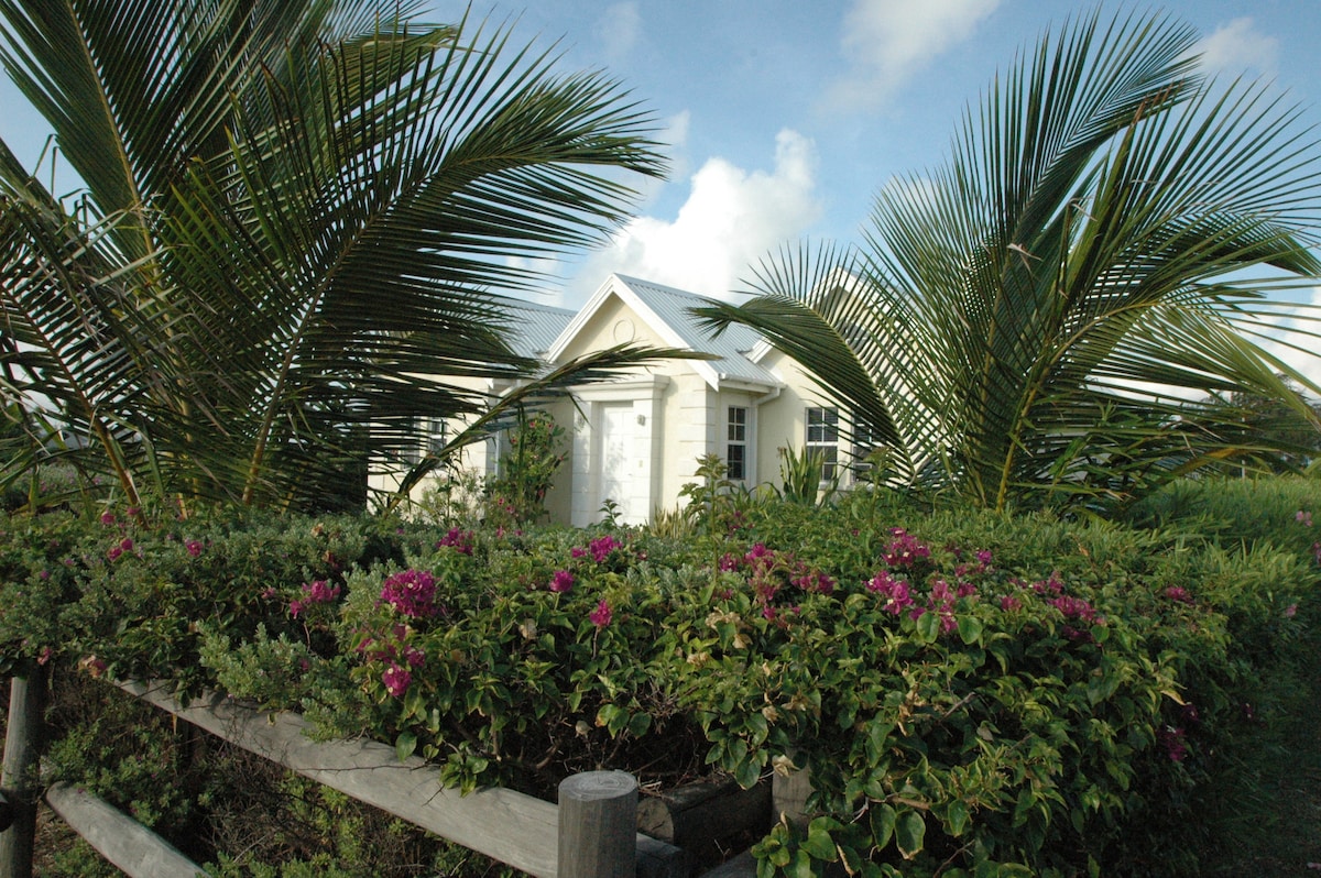 A charming detached villa is framed by lush tropical vegetation, featuring vibrant pink flowers and green palms. The main entrance door is visible, set against a backdrop of a bright sky and partially clouded scene, creating a serene, welcoming environment.