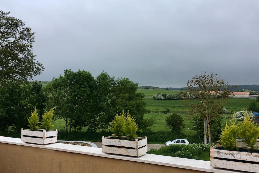 TERRAZA