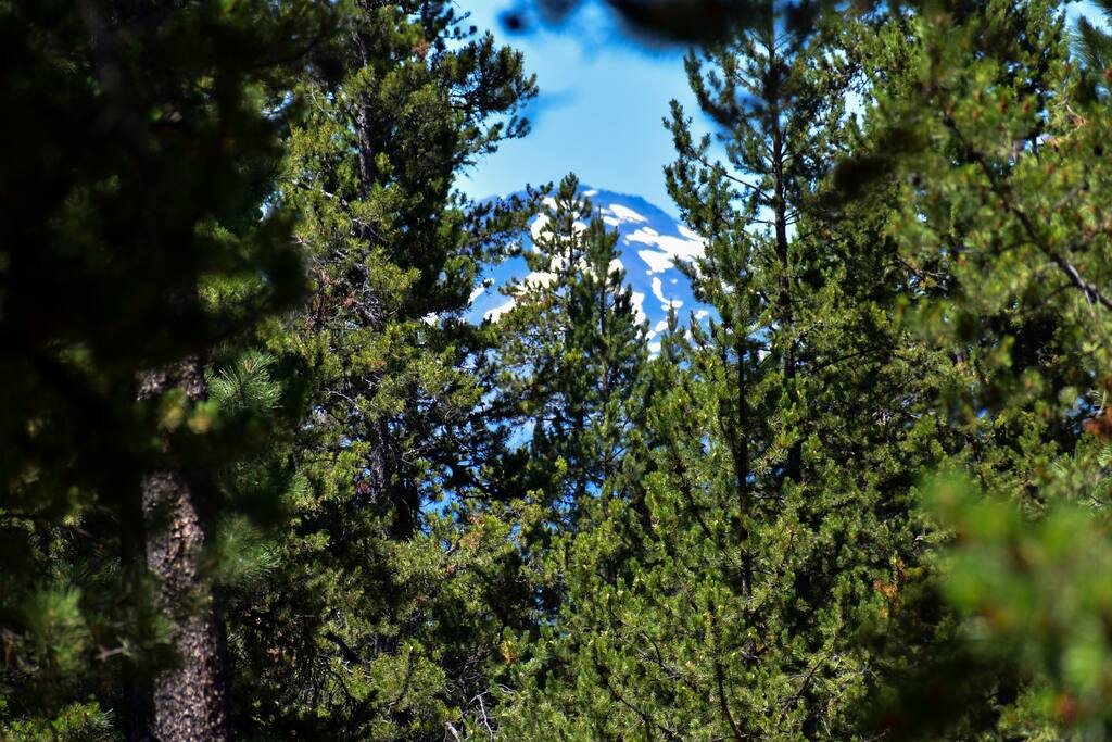 View from backyard of Mt. Bachelor