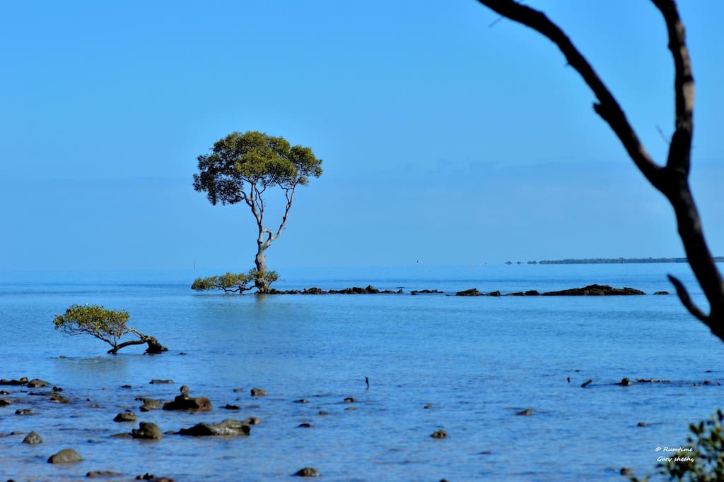 Morwong Beach