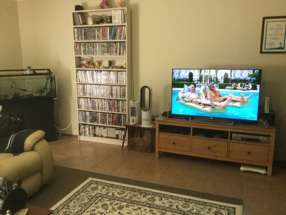 Spacious lounge room, Netflix, wifi, eclectic DVD collection