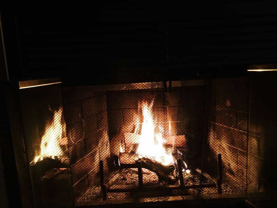 Wood burning Fireplace