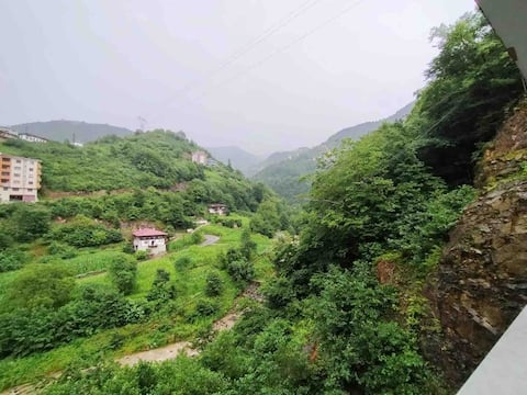 Successful Airbnb property: Apart Caykara in Çaykara