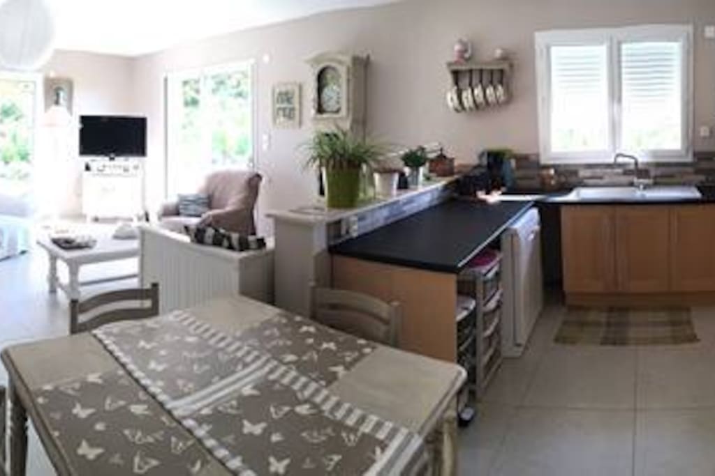 Grand espace de vie de 50m2. Cuisine équipée, salon TV, table pour manger, 2 baies vitrée sut terrasse avec vue et les pieds dans les vignes bio