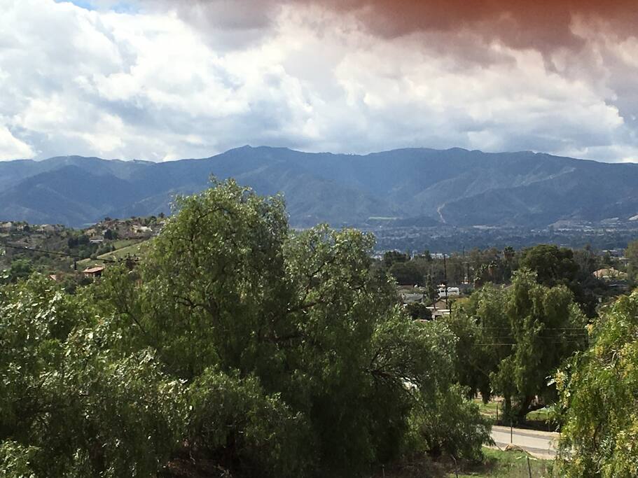 The view
