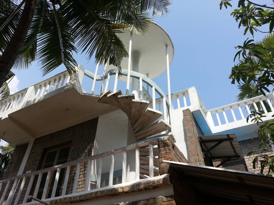 A view from below