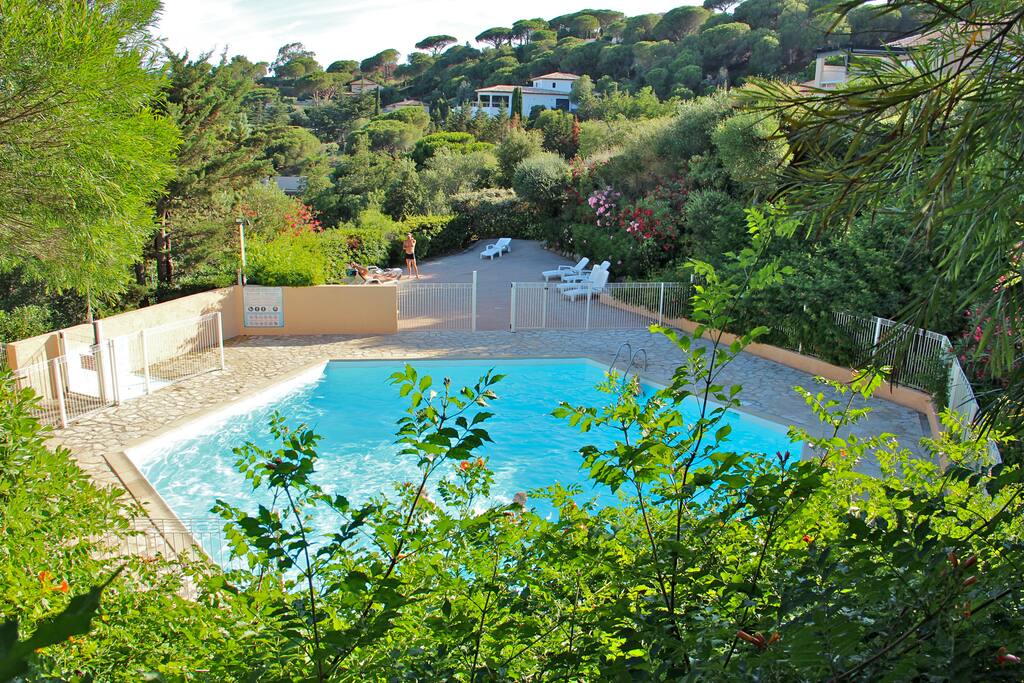 piscine et solarium