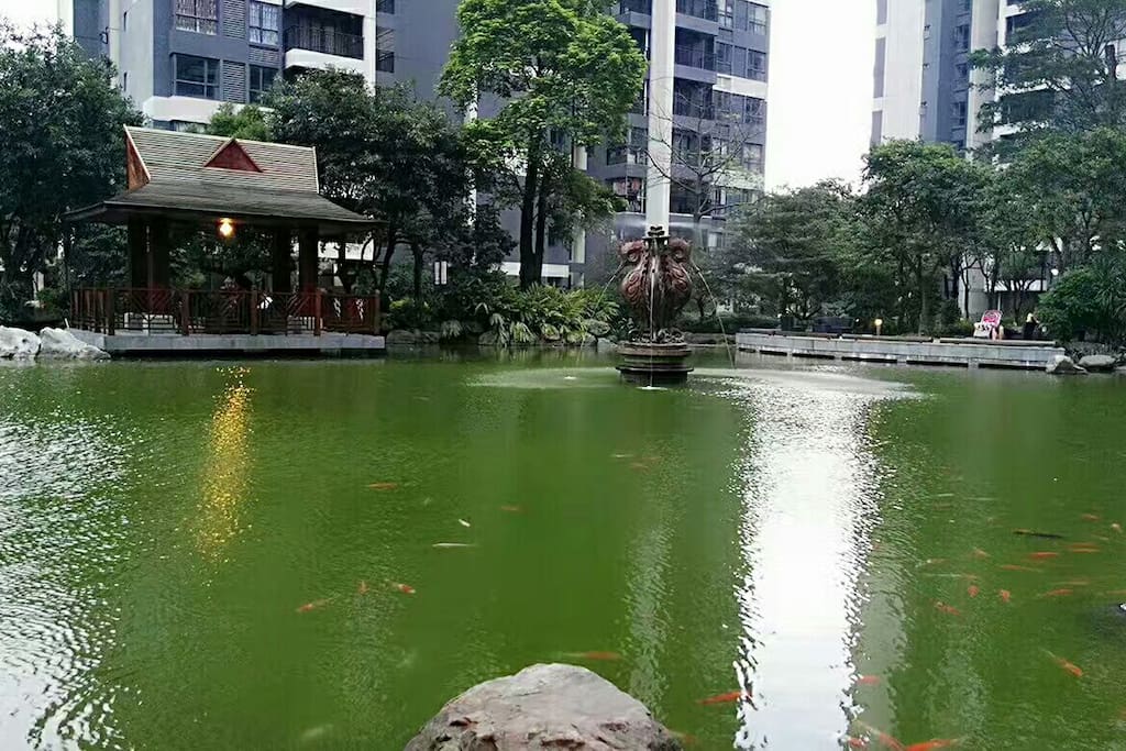 楼下风景