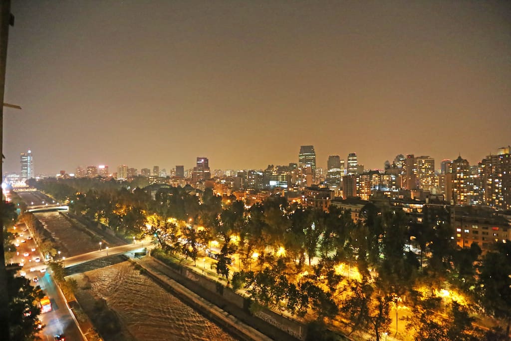 Apartment balcony (19th floor), view to Forestal Park, Mapocho River, and Bellas Artes Museum.