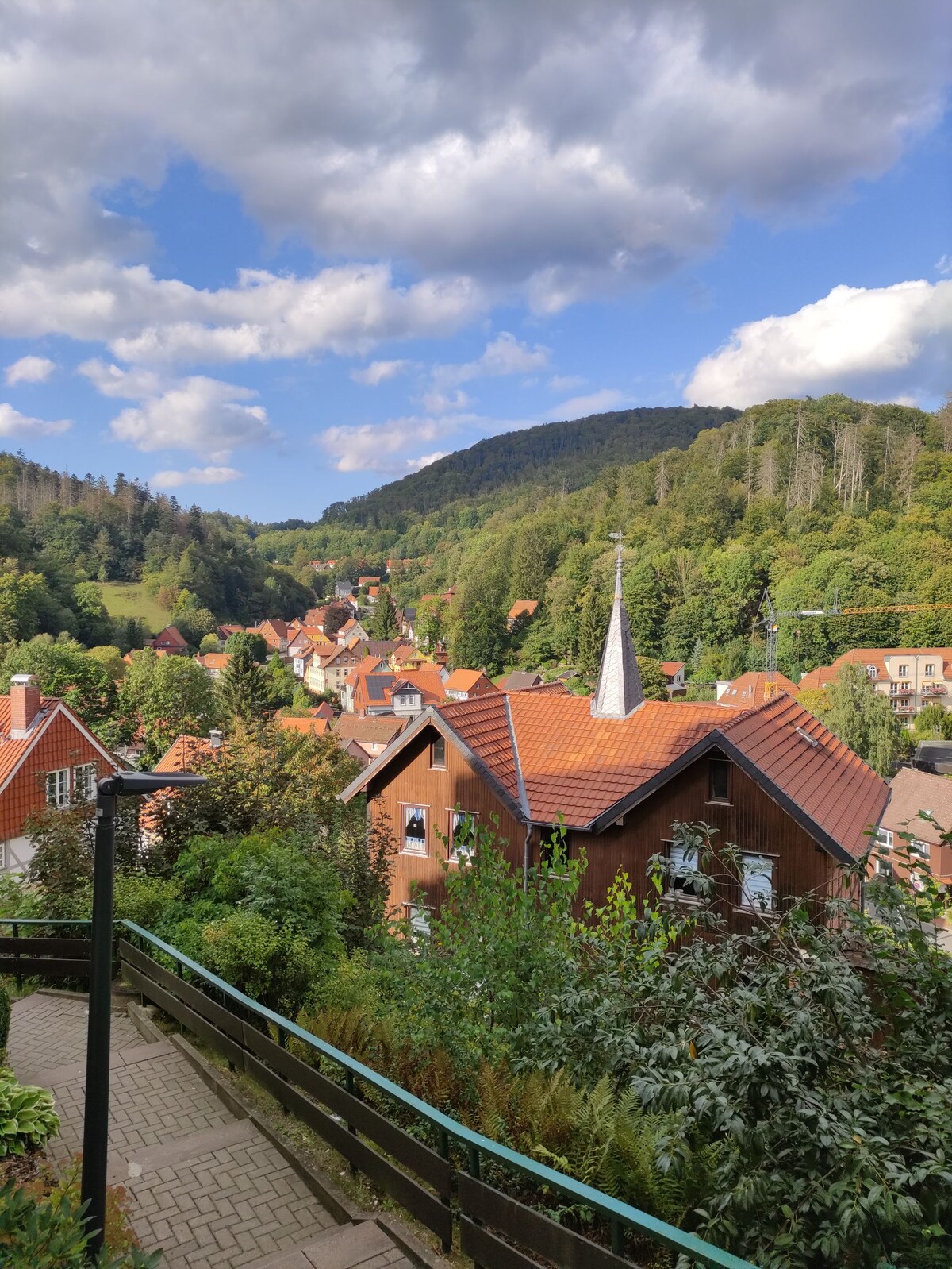 A panoramic view showcases a charming village nestled among verdant hills. The landscape features a mix of traditional houses with red rooftops and a prominent church steeple, set against a backdrop of lush green forests and rolling hills under a partly cloudy sky.