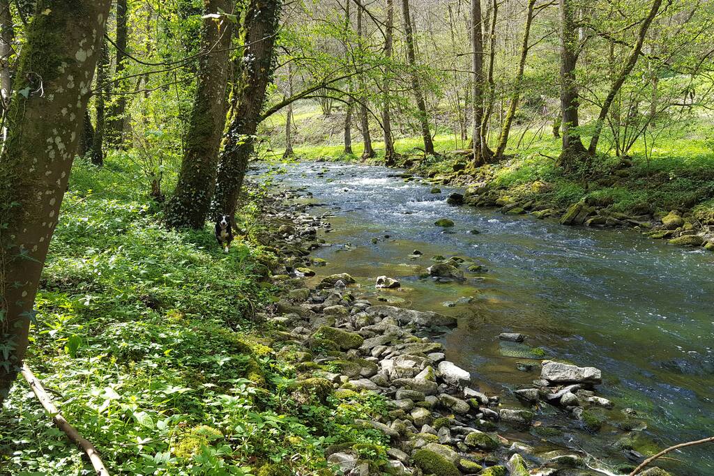 Naturschutzgebiet "Manternacher Fiels"