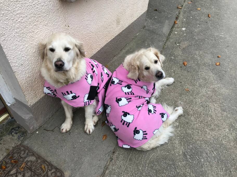 Molly and Tessa