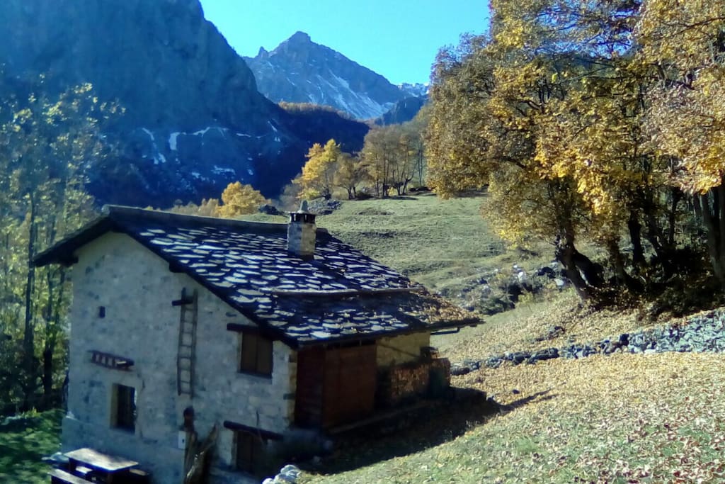 Esterno