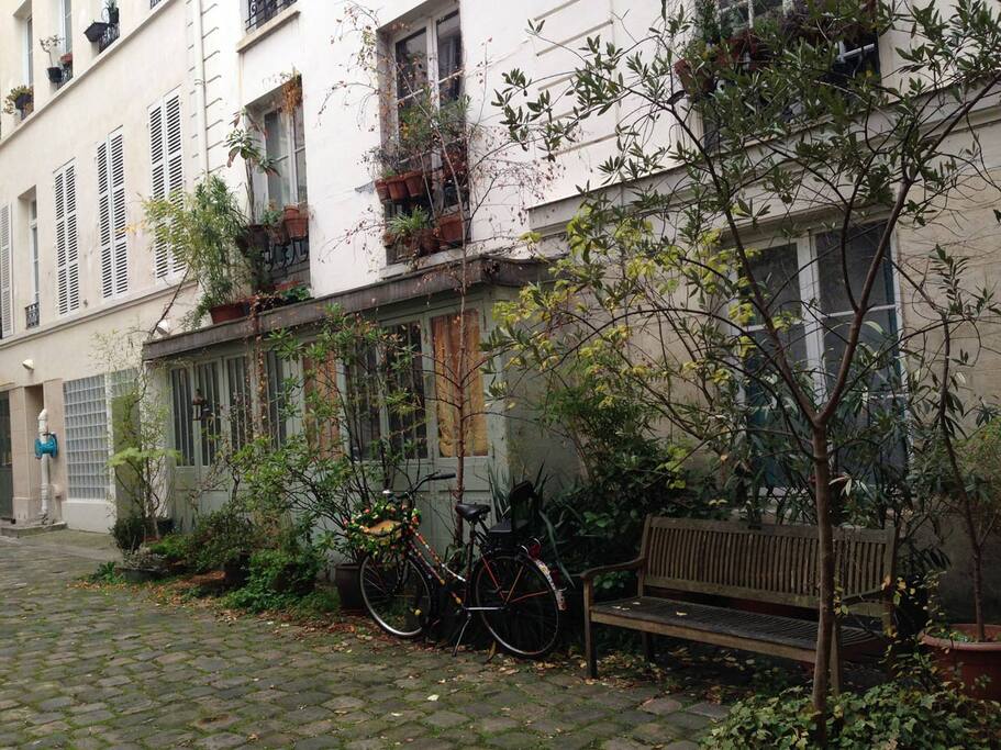 la cour arborée