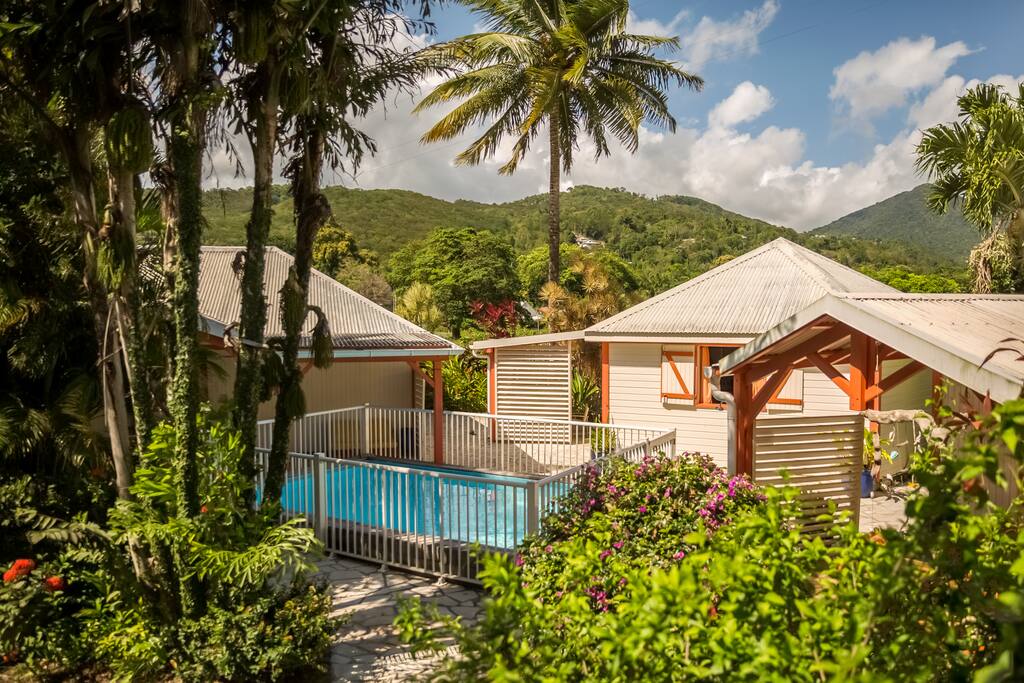 La piscine et le jardin tropical fleuri